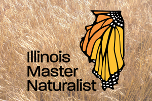 Master Naturalist logo over prairie grass