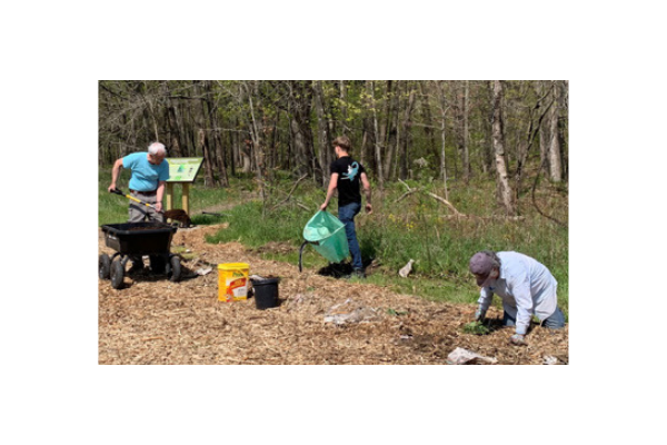 Master Naturalists working at timberline