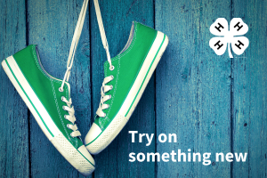pair of green Converse style shoes hanging from their laces with blue background and white 4-H clover