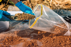 A person shoveling a scoop of soil into a plastic bag.
