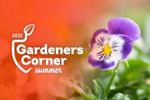 A purple and white flower with overlay text that reads 2022 Gardeners Corner Summer.