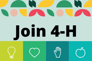 join 4-h