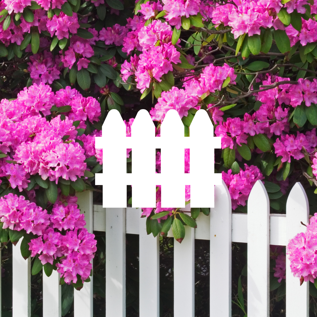 fence with flower bush