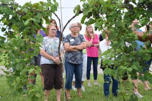 three women photo graphed through opening in a grape vine