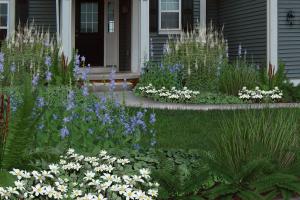 native plants around the sidewalk of a home