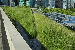 green roof structure
