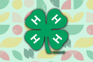 4-H logo