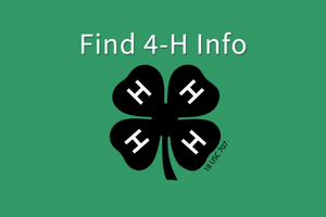 green background with words find 4-H info. black 4H clover