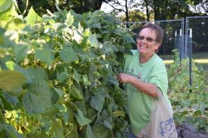 Karen Shelly picking green beans