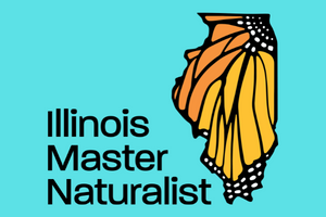 aqua background with a monarch butterfly wing shaped like the state of illinois. text reads illinois master naturalist