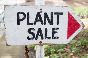 Sign saying Plant Sale