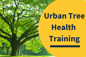 Urban Tree Health Training