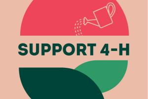 Support 4-H green and pink graphics