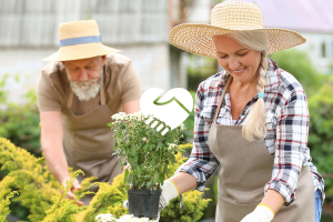 older man and woman gardening