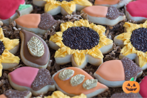 Cookies decorated to look like sunflowers, leaves, acorns, and apples.
