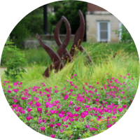 wild pink flowers and long grasses in front of a sculpture