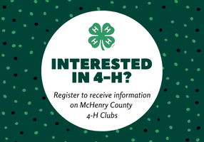 Are you interested in 4-H?
