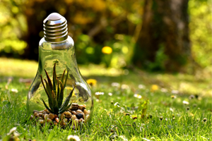 Upside down light bulb in field with plant growing inside