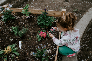 female child taking picture of flowering plant in garden bed
