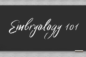 chalkboard with text "embryology 101"