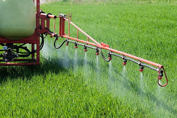 herbicide sprayer spraying over wheat