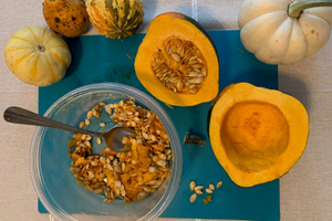 gourds and squash surrounding bowl of squash guts