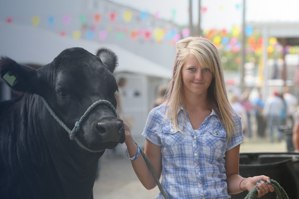 Girl handling cattle at the state fair