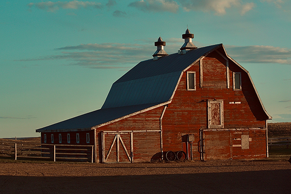 livestock barn