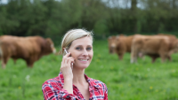 Woman talking on cell phone in livestock field
