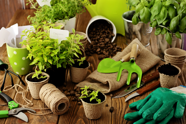 Plants, garden gloves, garden hand tools, string, dirt.