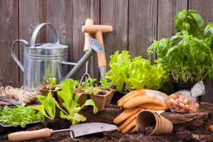 Garden scene with watering can, trowel, gloves and unplanted vegetable pots