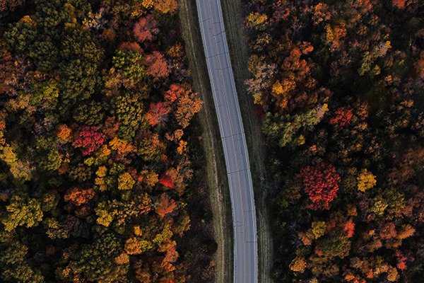 road through forests in fall