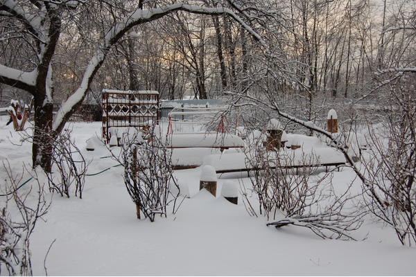 Snow covering garden, trees, and birdfeeders.