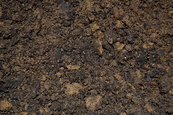 dirt soil