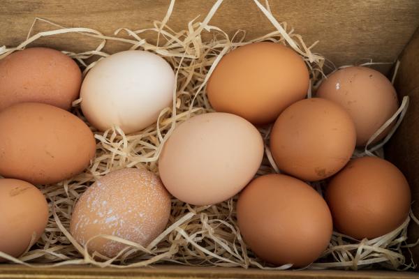 white and brown chicken eggs on straw
