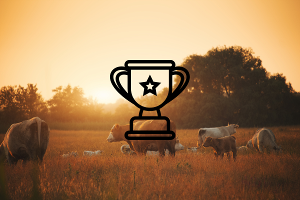 An image of cows in a field at sunset with a graphic of a trophy over the picture.