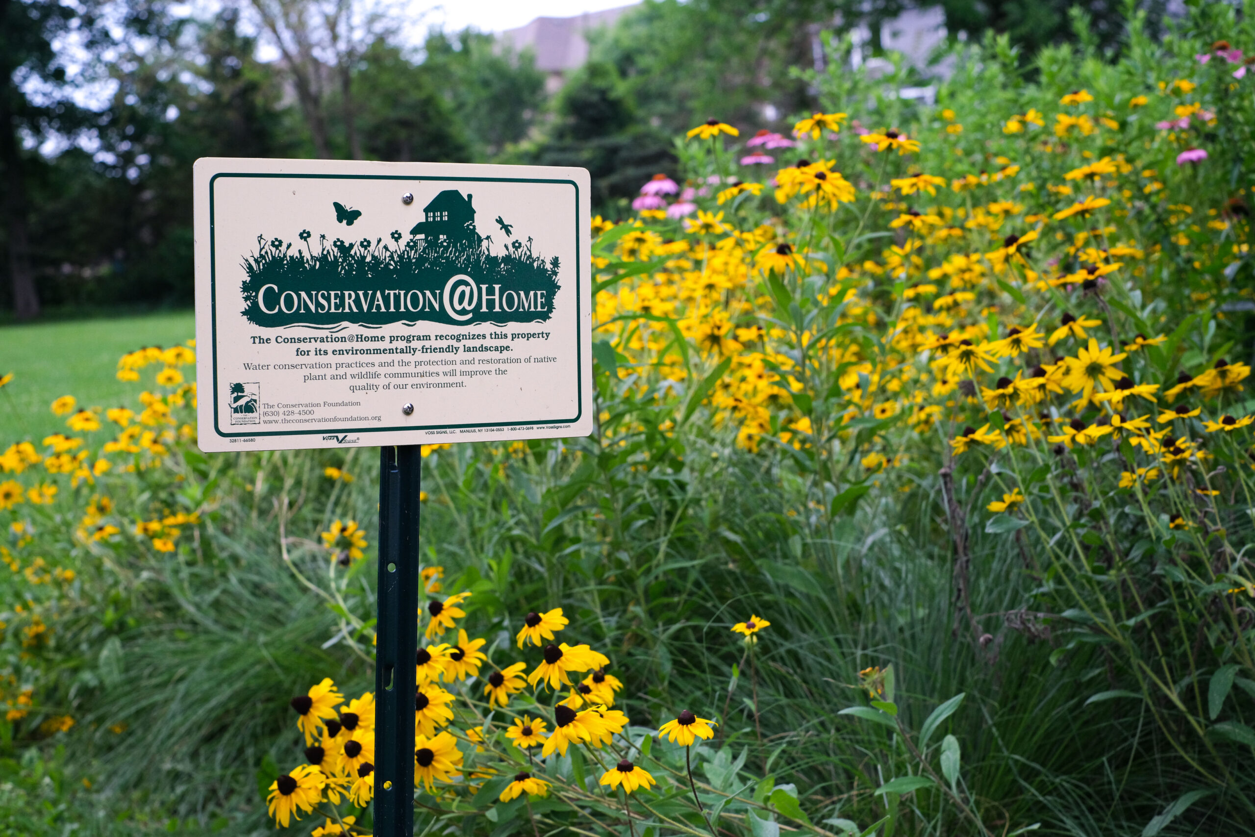 Learn more about Conservation@Home July 18 | Illinois Extension | Illinois