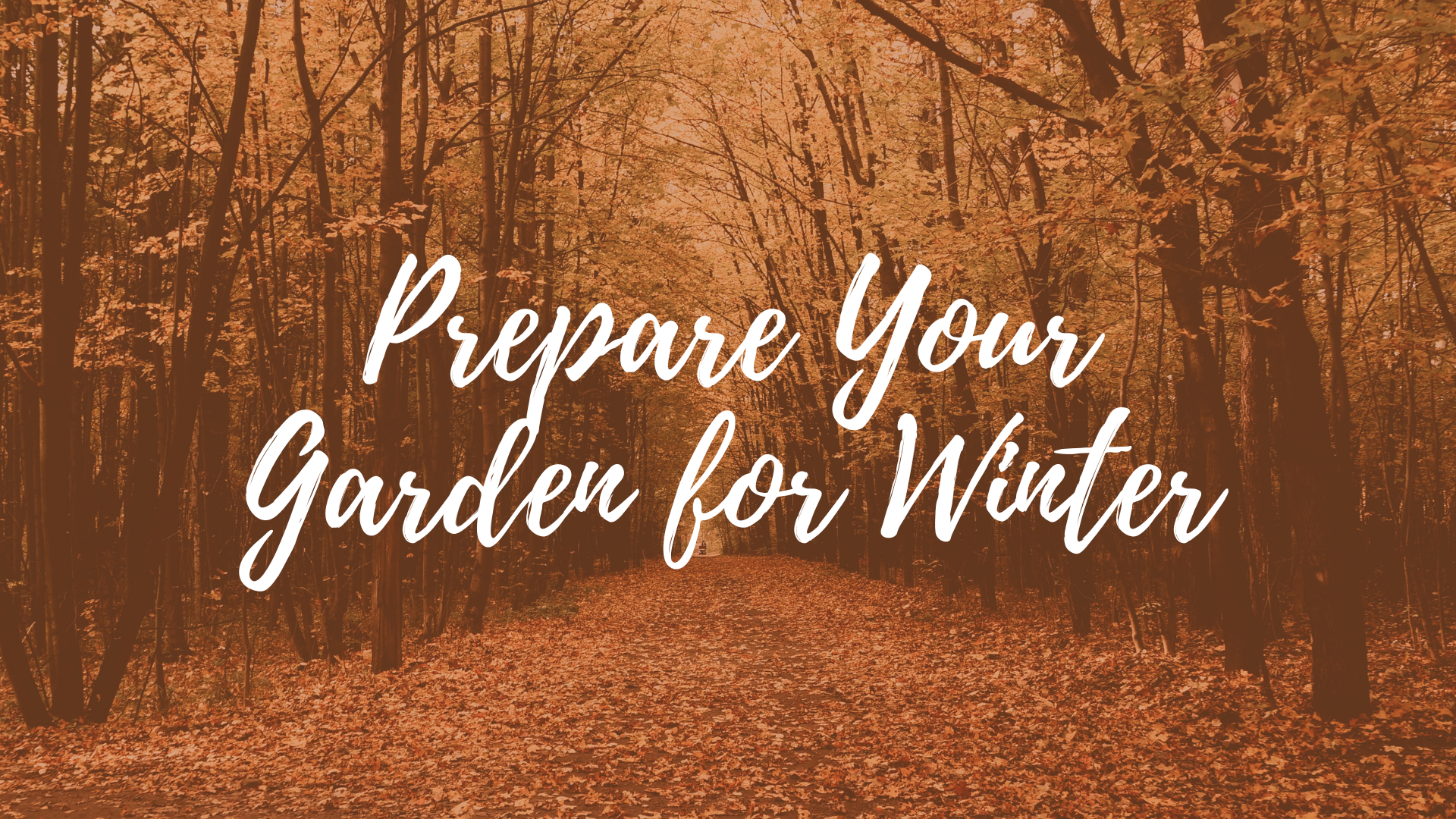 How to Prepare Your Garden for Winter