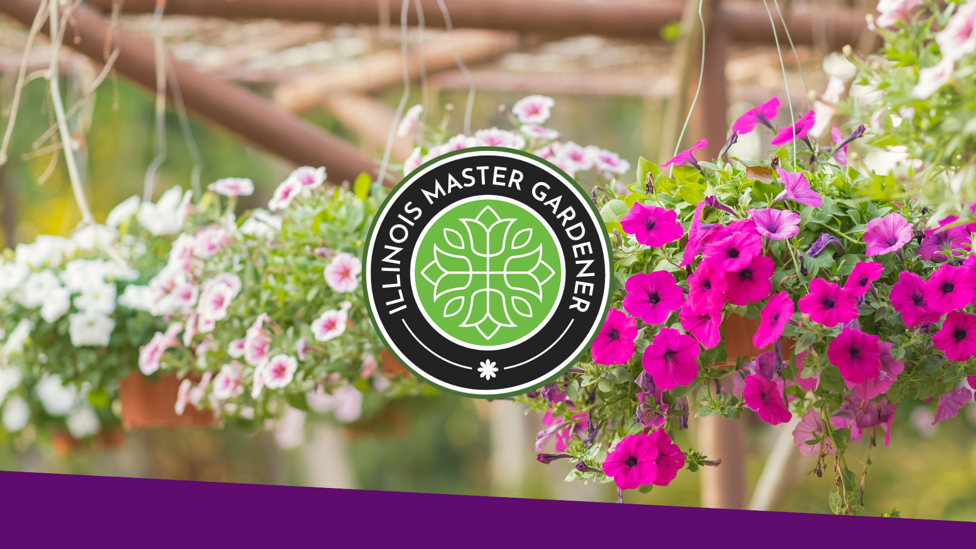 Master Gardener Plant Illinois