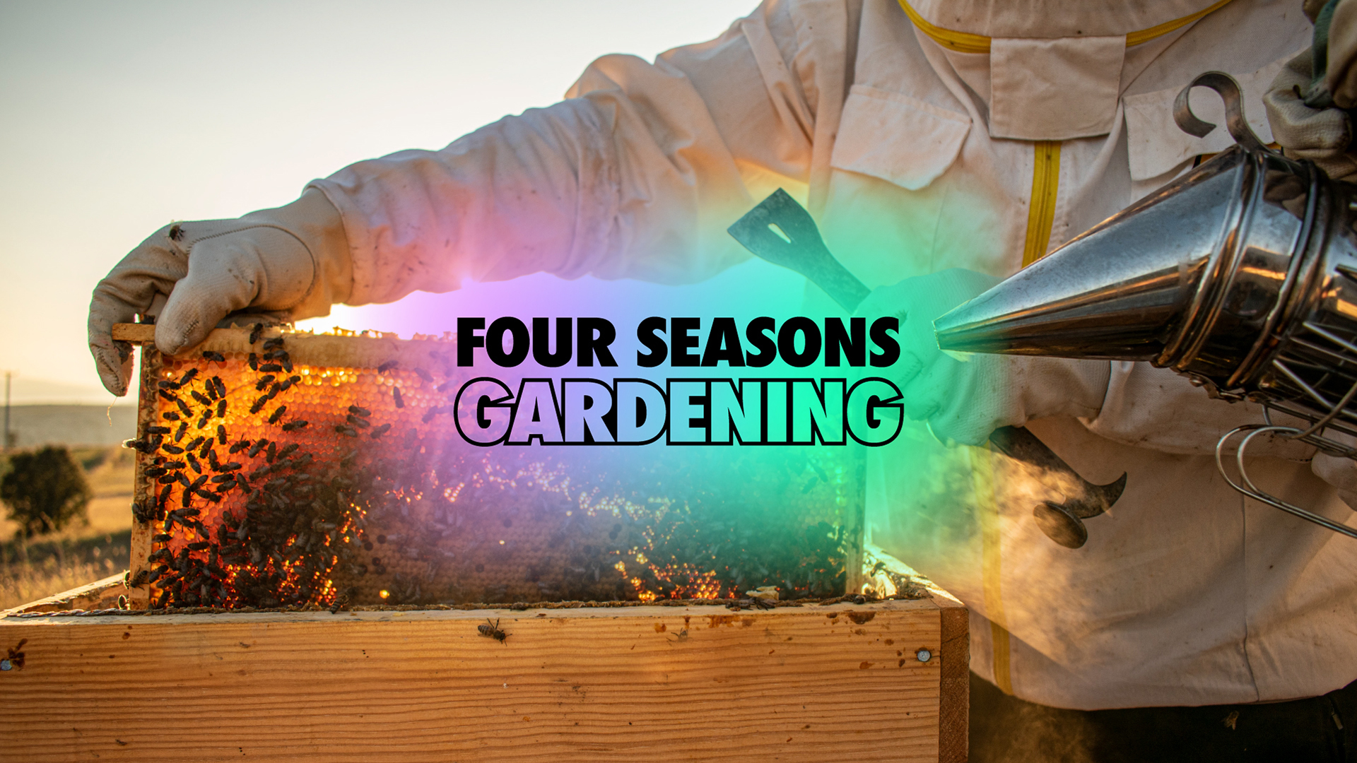 Backyard Beekeeping Home Vegetable Gardening Illinois Extension UIUC