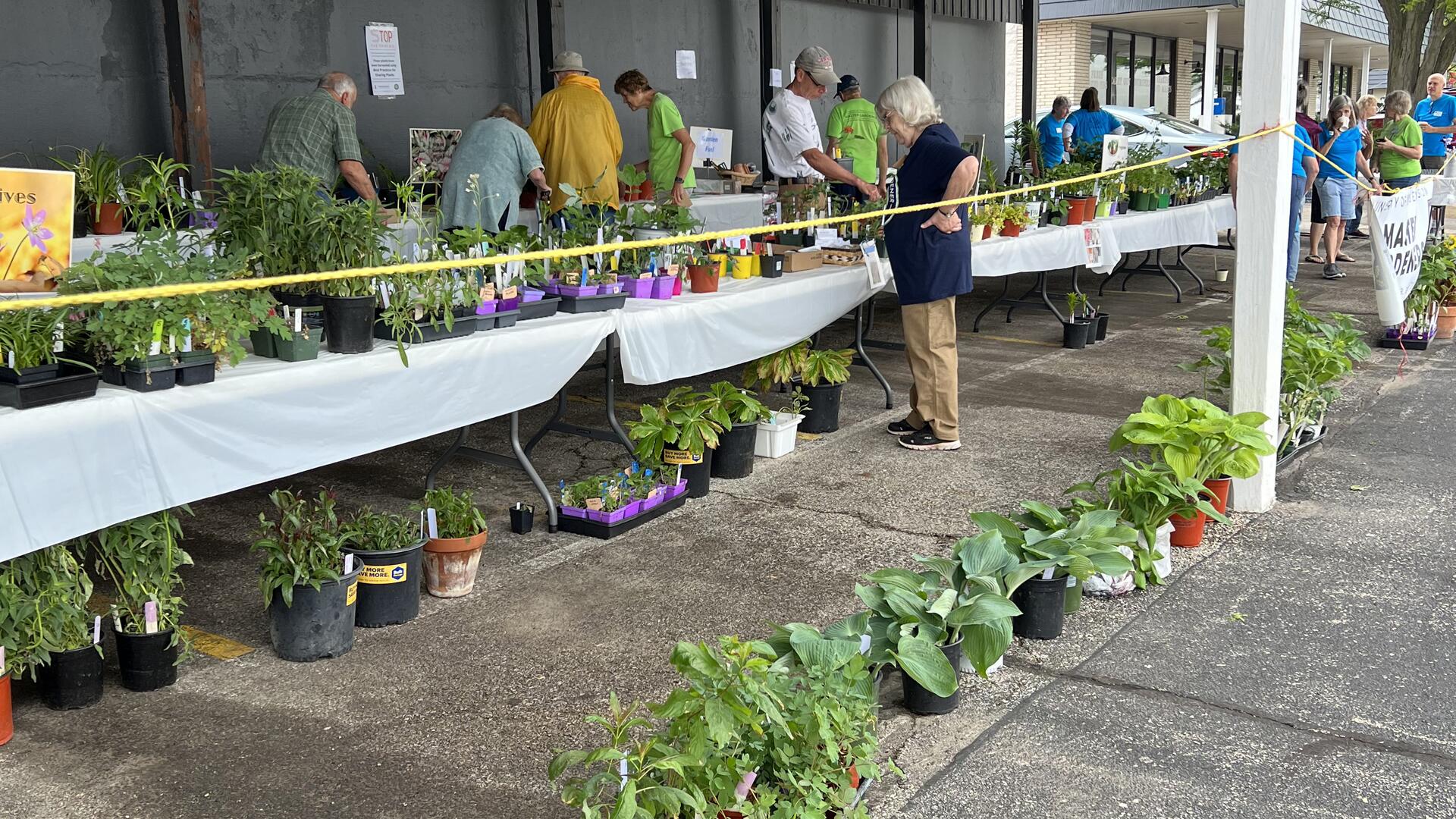 Master Gardener Plant Sale | Houseplants | Illinois Extension | UIUC