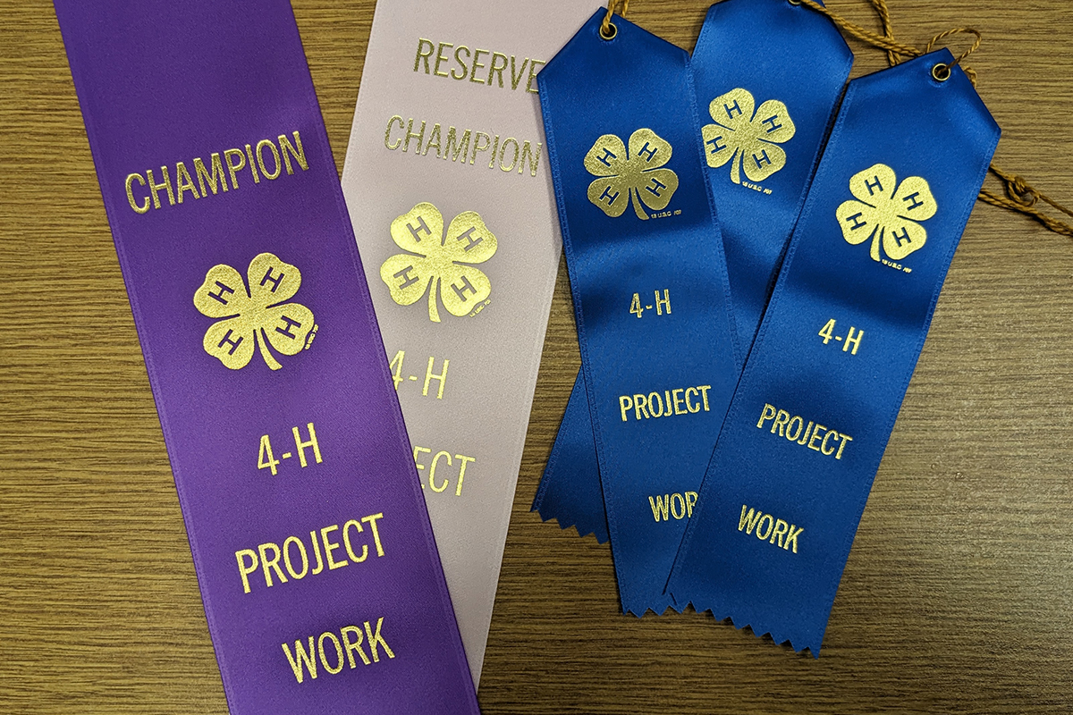 Abe Lincoln 4-H Shooters Hold Air Pistol Exhibition | Illinois ...
