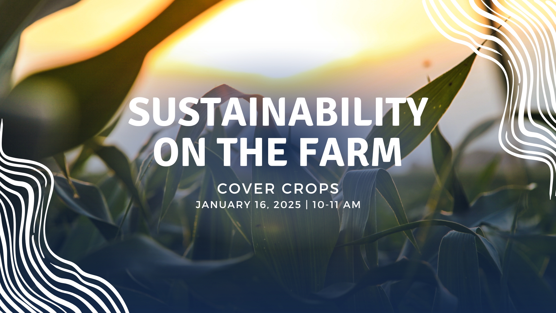 Sustainability on the Farm - Cover Crops | Illinois Extension | UIUC