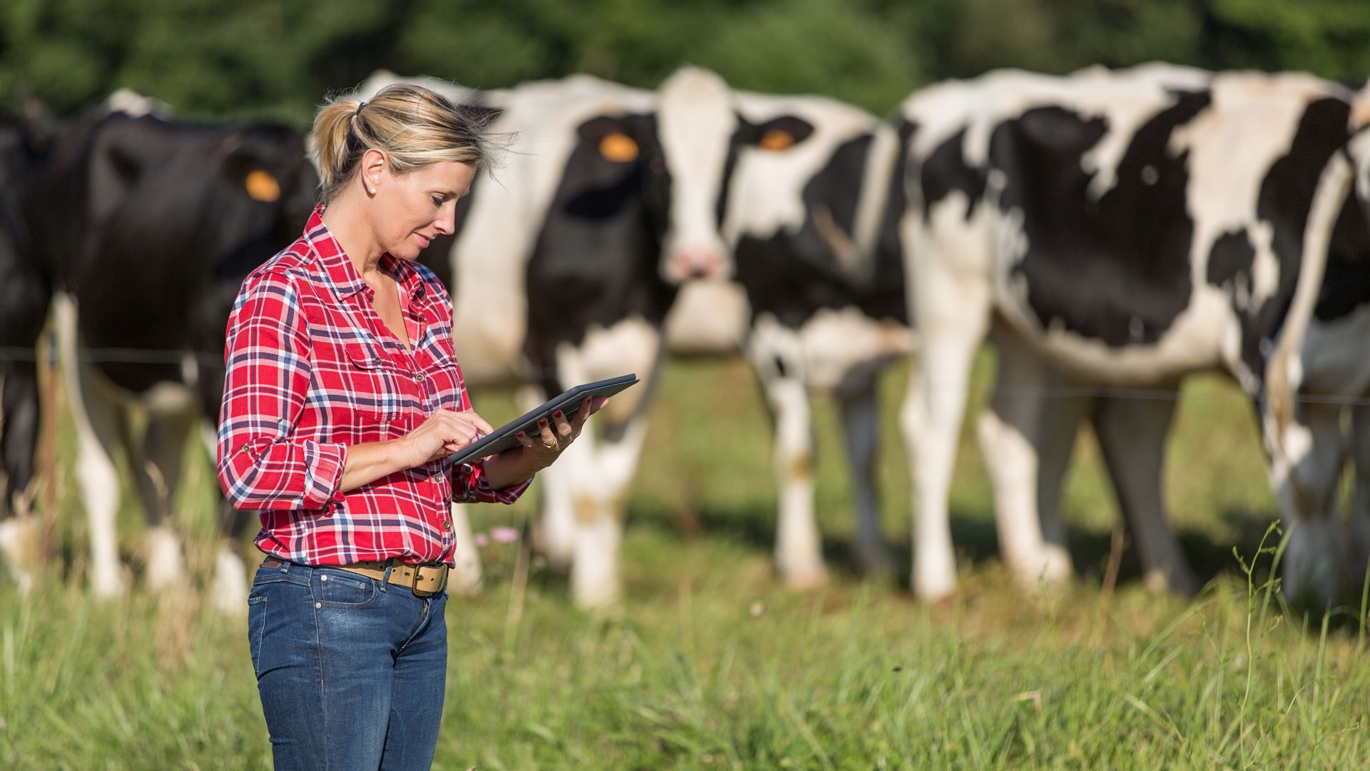 Seven Women Reshaping the Image of American Dairy