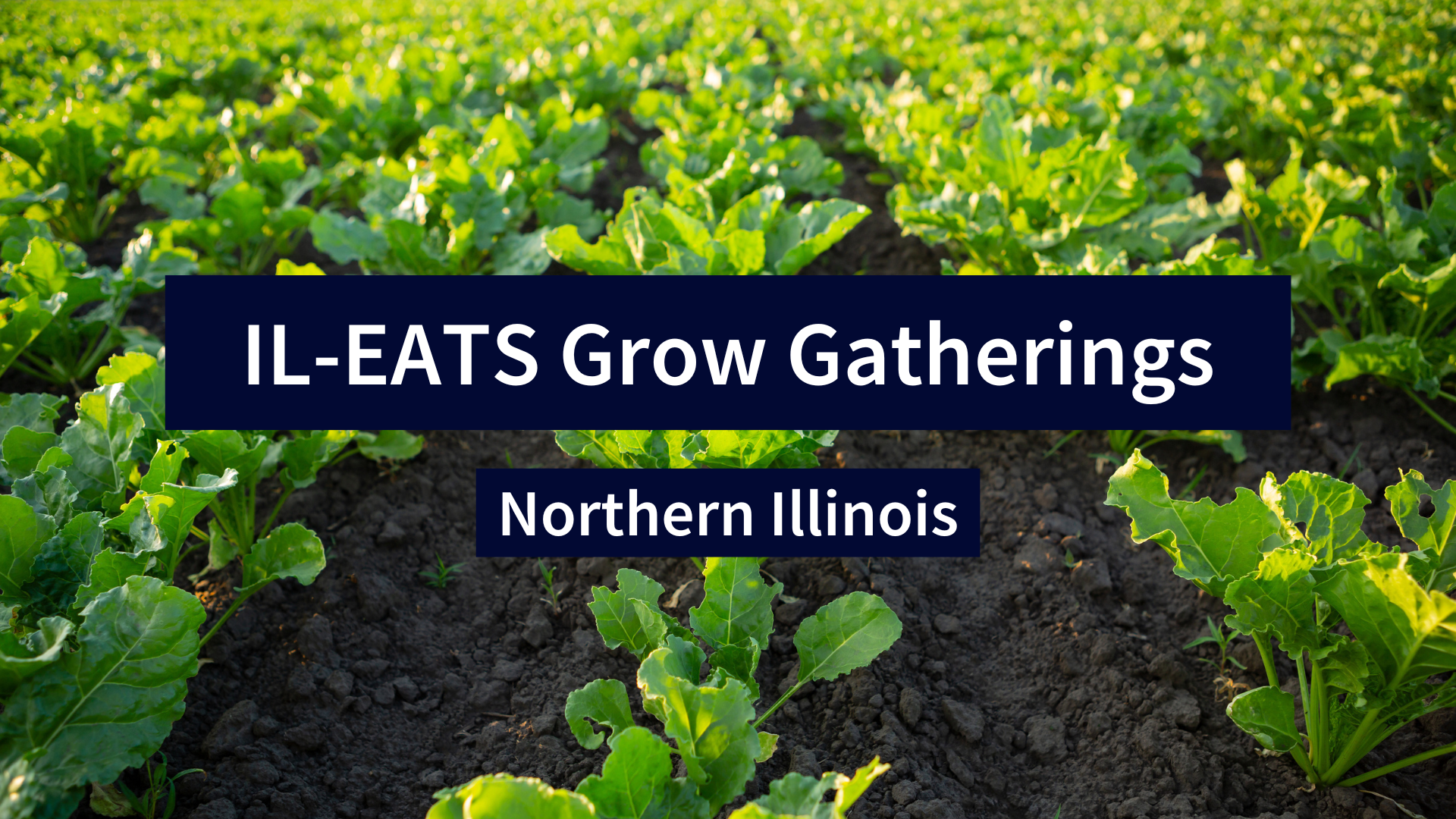 Rooted Northern Northern Illinois Grow Gathering at Rooted For Good | Illinois ...