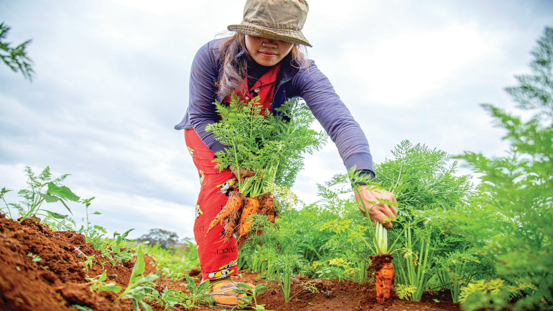 Urban Farmer Training Short Course | Illinois Extension | UIUC