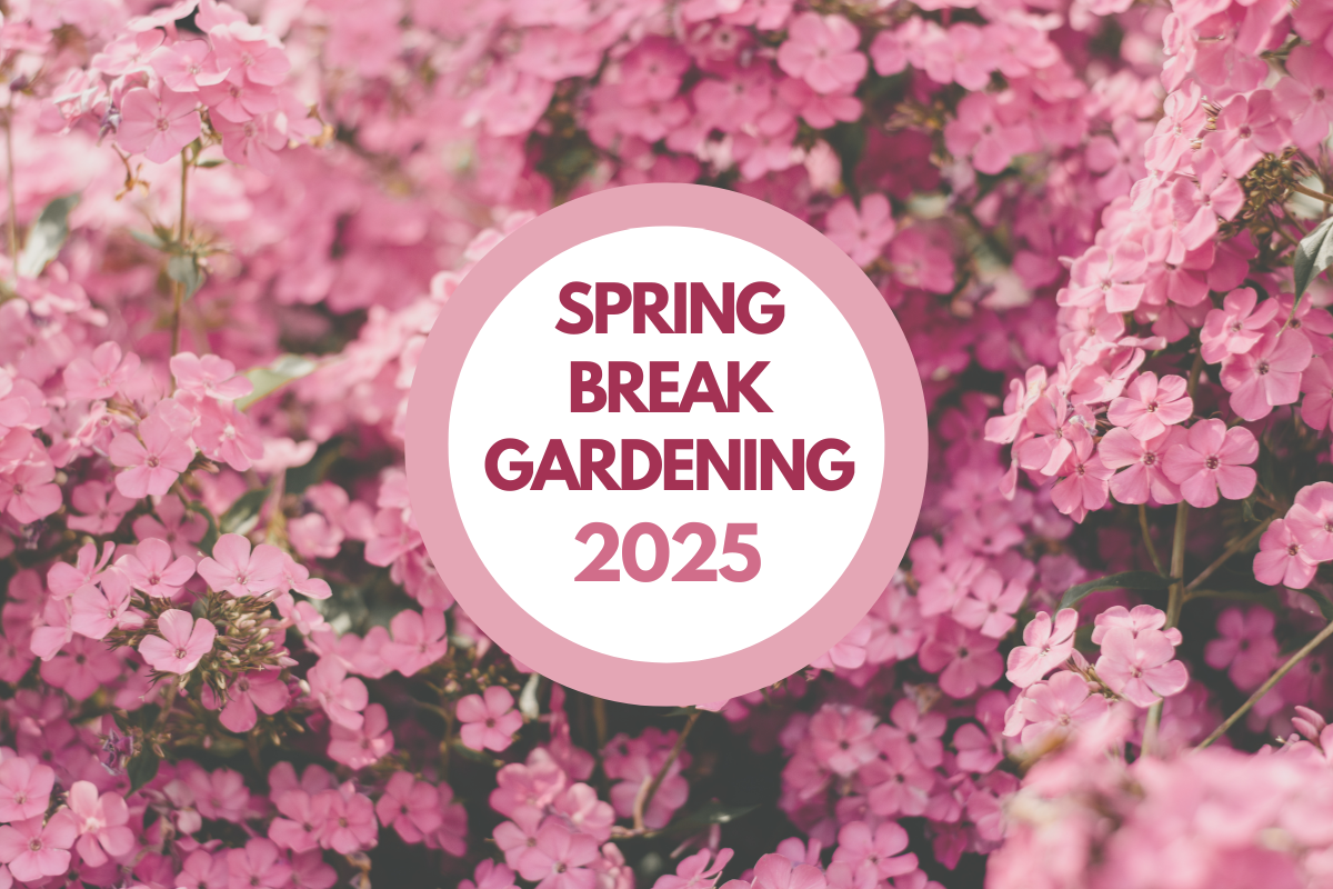 Spring Centerpieces | Illinois Extension | Illinois