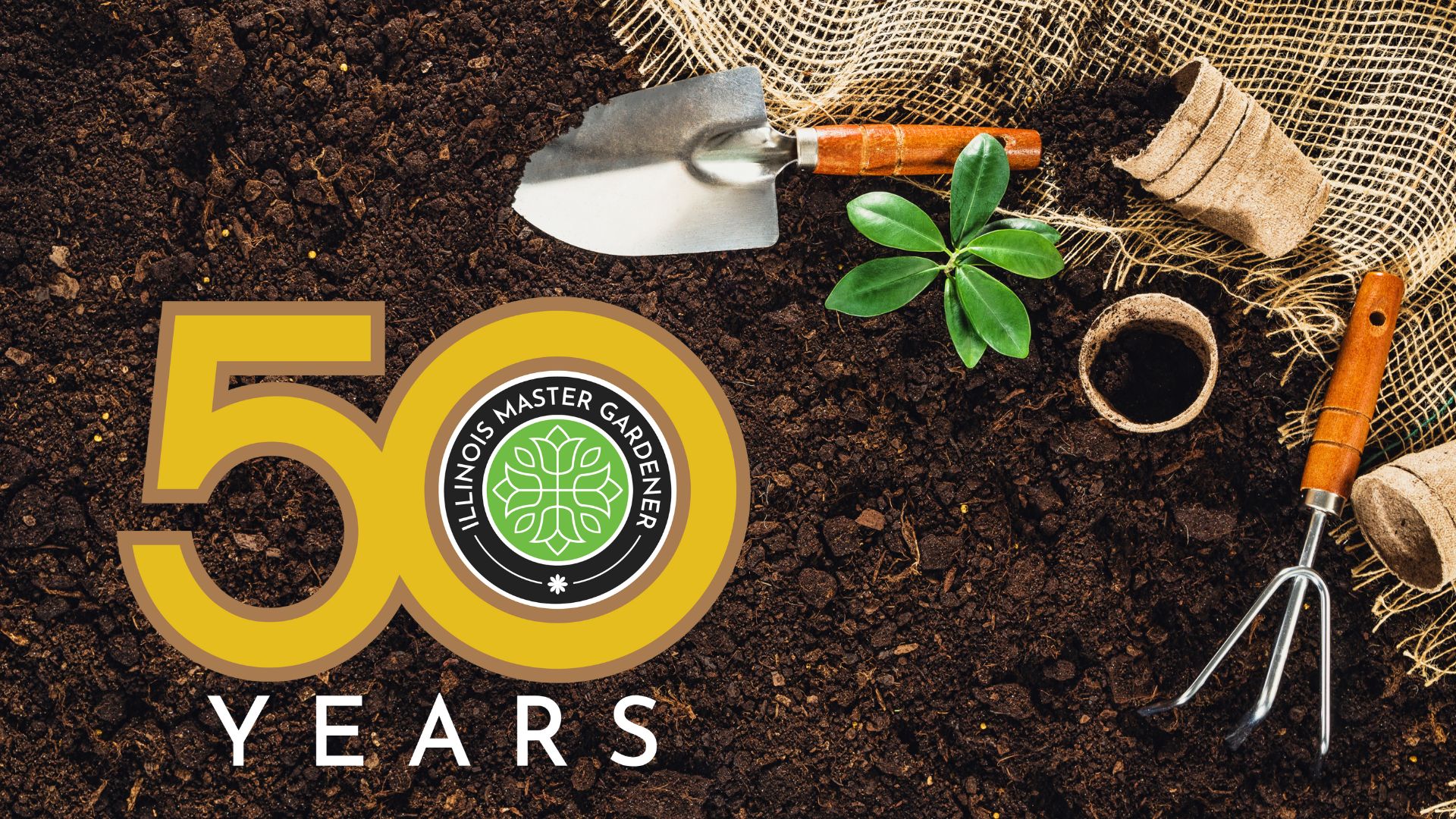 Golden Garden Days Northwest Celebration Illinois Master Gardeners golden-garden-days-northwest-celebration-illinois-master-gardeners