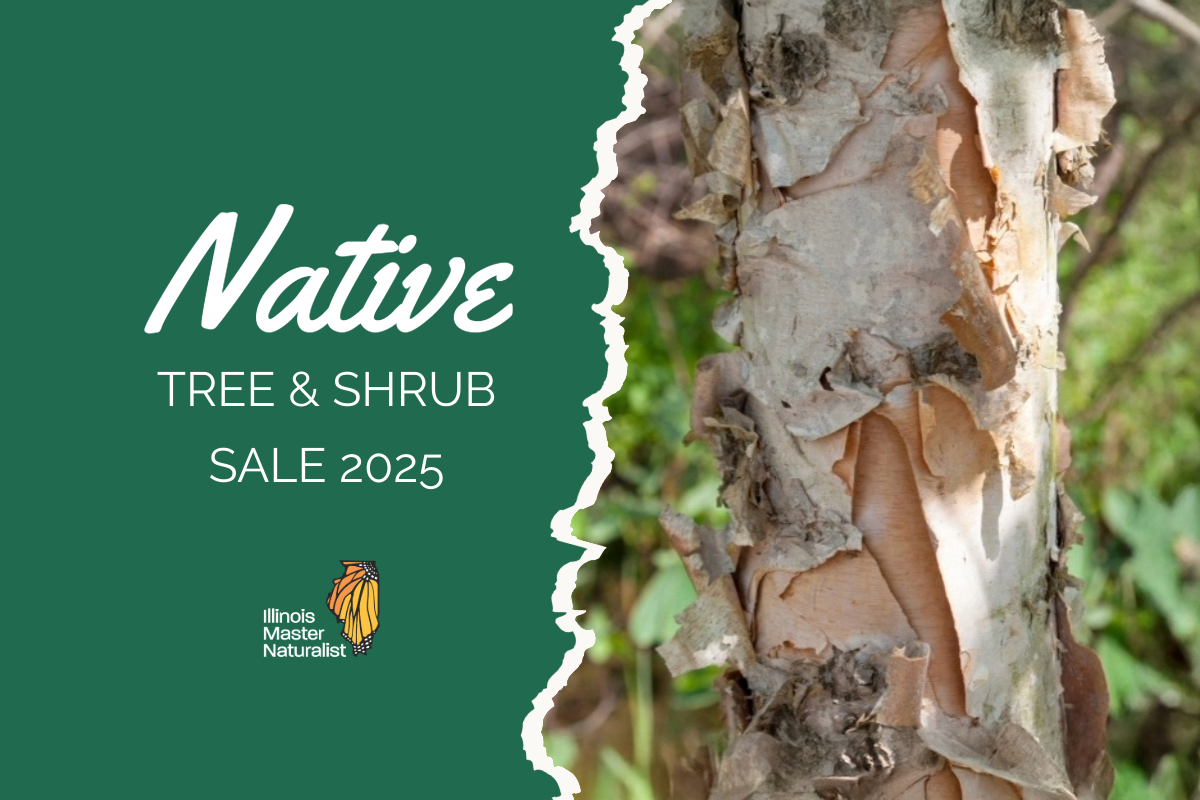 East Central Illinois Master Naturalists announce 2025 Native Tree and ...