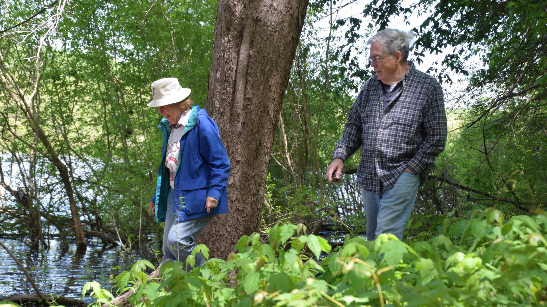 Mindfulness Hike at Emiquon Nature Preserve | Illinois Master ...